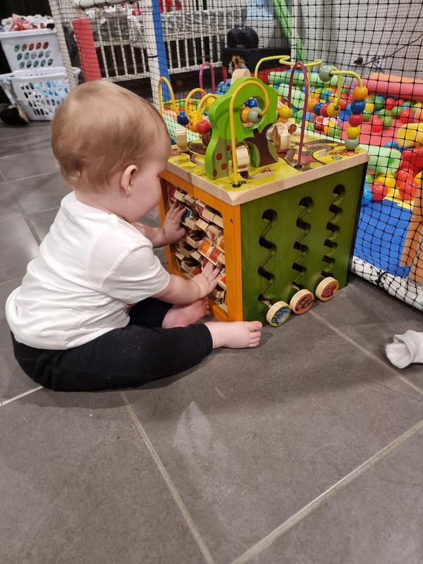 Zany Zoo | Wooden Activity Cube | B. toys