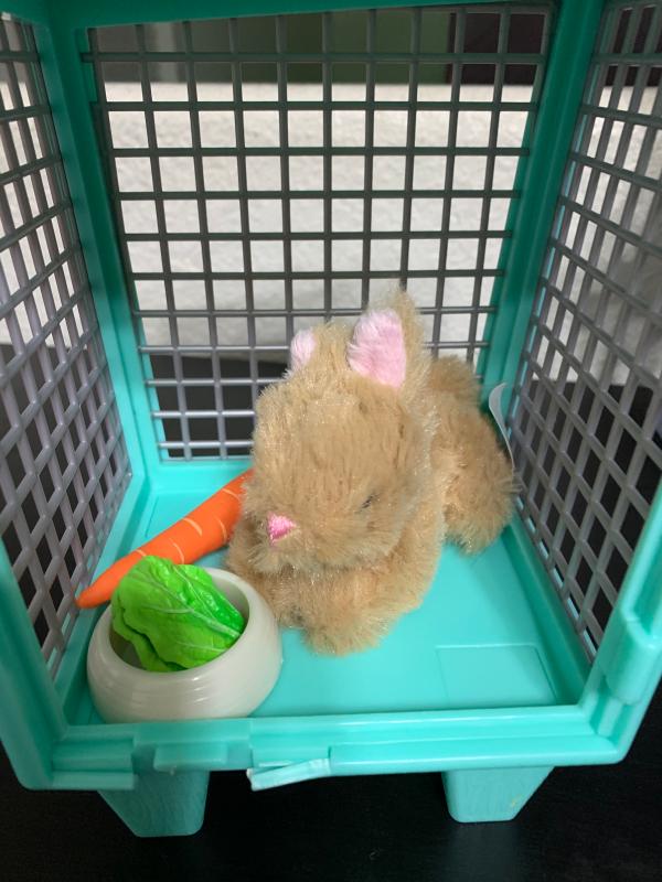 Our generation cheap pet bunny set