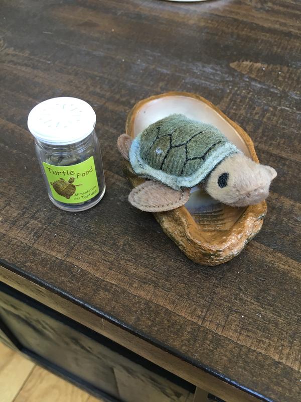 Our generation pet on sale turtle set