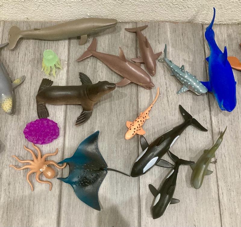 Photo - commentaire&nbsp;5.