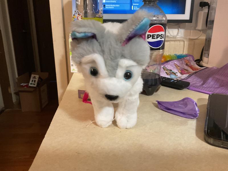 Siberian Husky | 6-inch Pet Dog Plush | Our Generation – Our