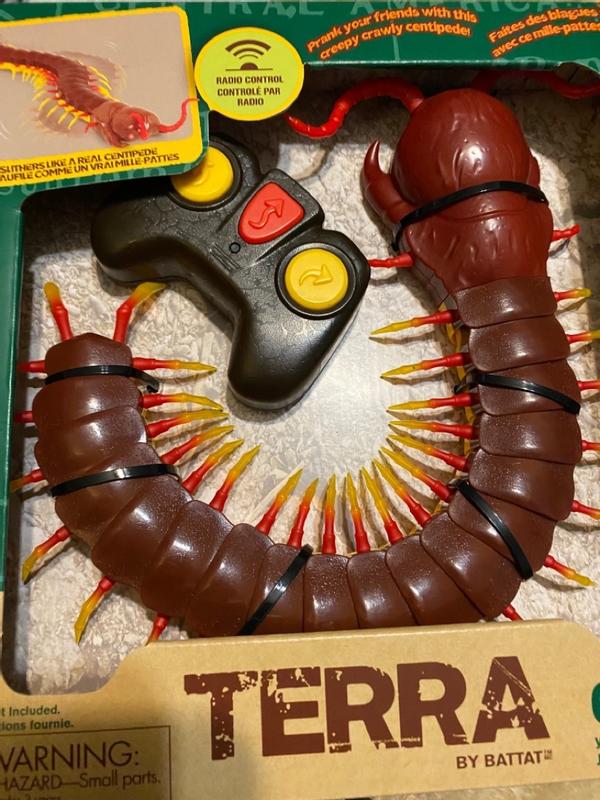 Giant Scolopendra Terra by Battat