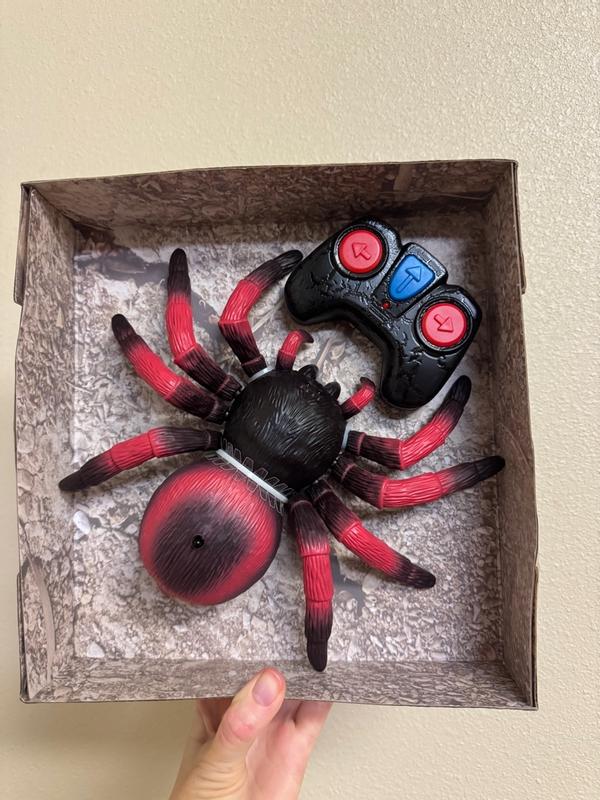 Blue Tarantula – Terra by Battat