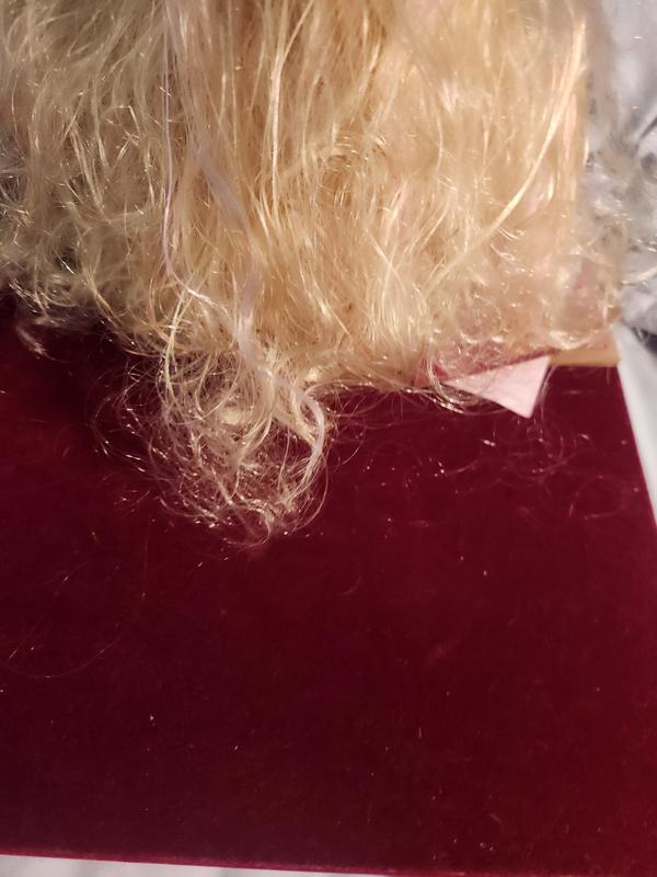 Photo - commentaire 2.