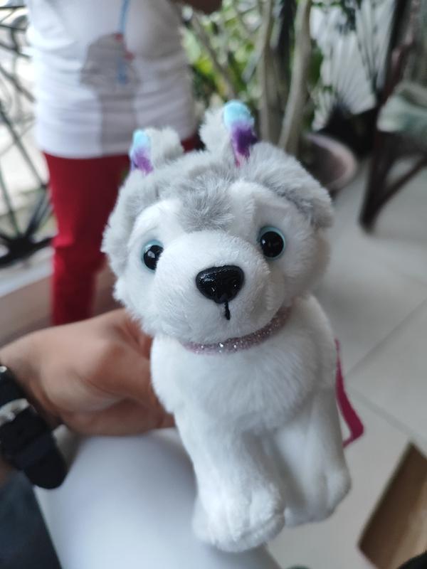 Siberian Husky, Siberian Husky - orecchini con foto e scritta