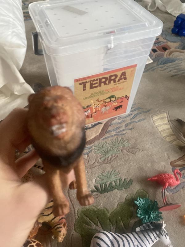 Photo - commentaire&nbsp;1.