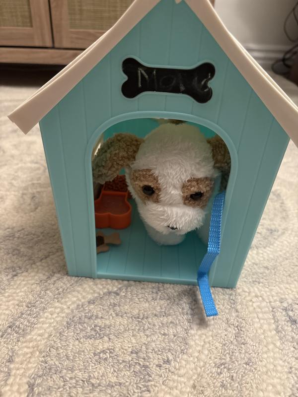 Photo - commentaire 6.