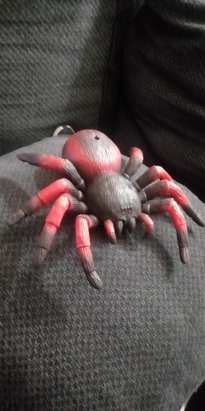 Blue Tarantula – Terra by Battat