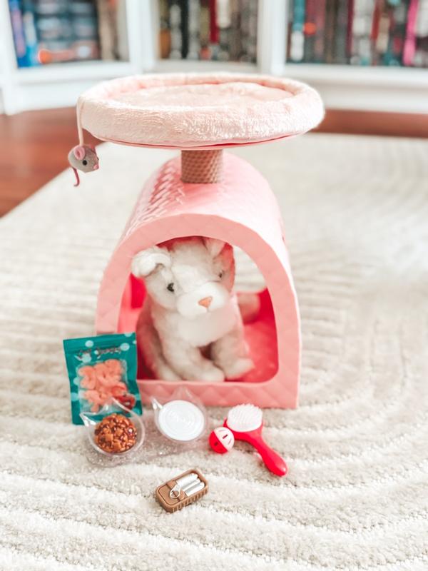 family cats　0618 sunny-days-honey-bee-acres-