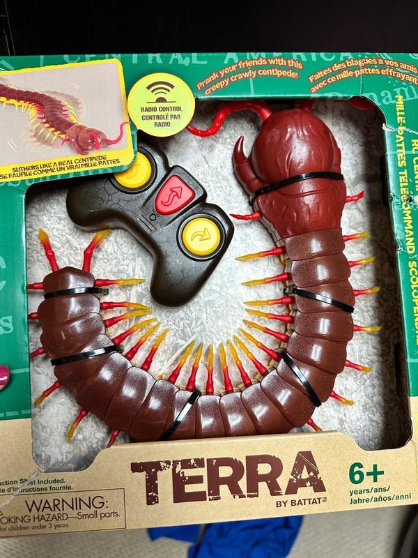 Remote control centipede toys r us on sale