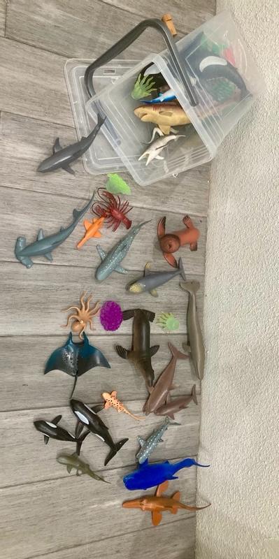 Photo - commentaire&nbsp;6.