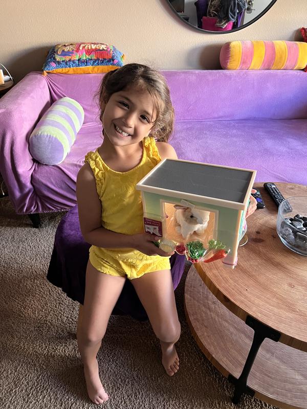 Photo - commentaire 3.