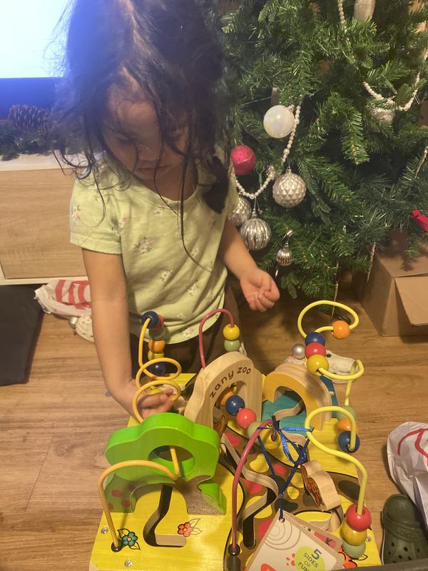 B. Toys Zany Zoo, Wooden Activity Cube | Toys R Us Canada