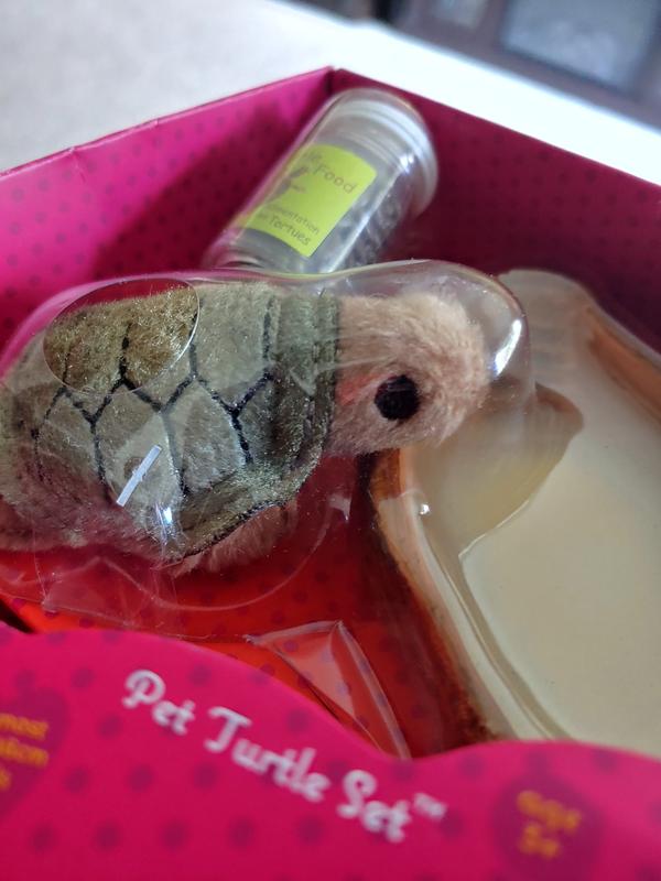 Our generation pet clearance turtle set