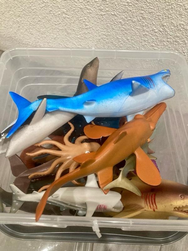 Photo - commentaire&nbsp;8.