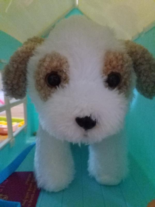 Photo - commentaire 4.