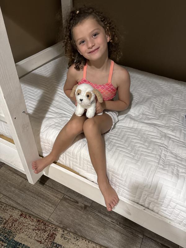 Photo - commentaire 2.