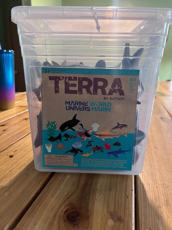 Photo - commentaire&nbsp;2.