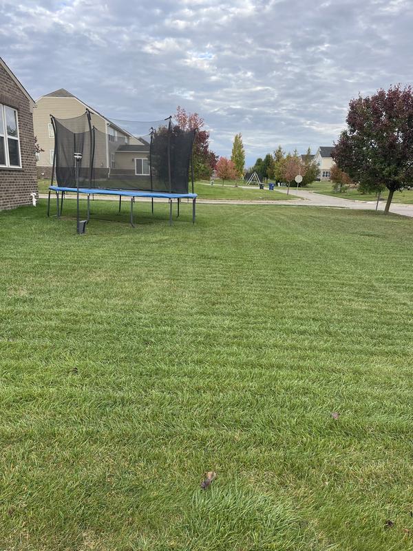 Photo - commentaire 2.