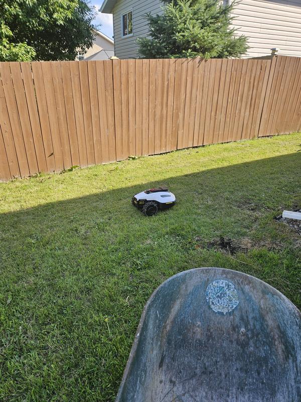 Robot Mower!