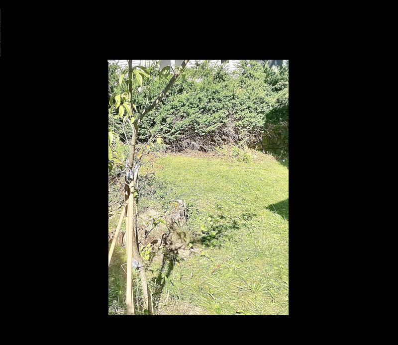 Photo - commentaire&nbsp;3.