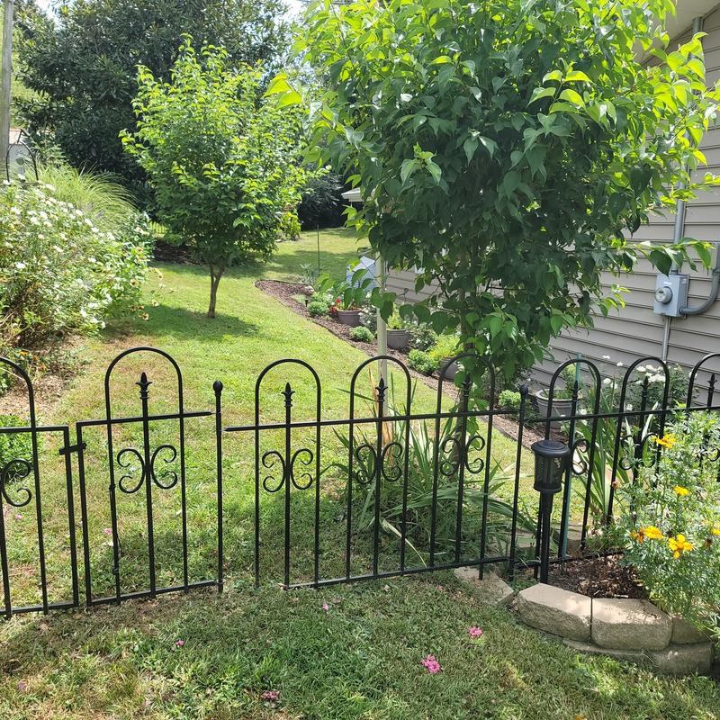 My Yarden that I never mow.  Yuka does.