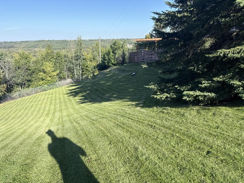 Backyard with some significant slope