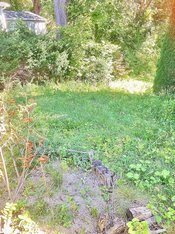 Photo - commentaire&nbsp;2.