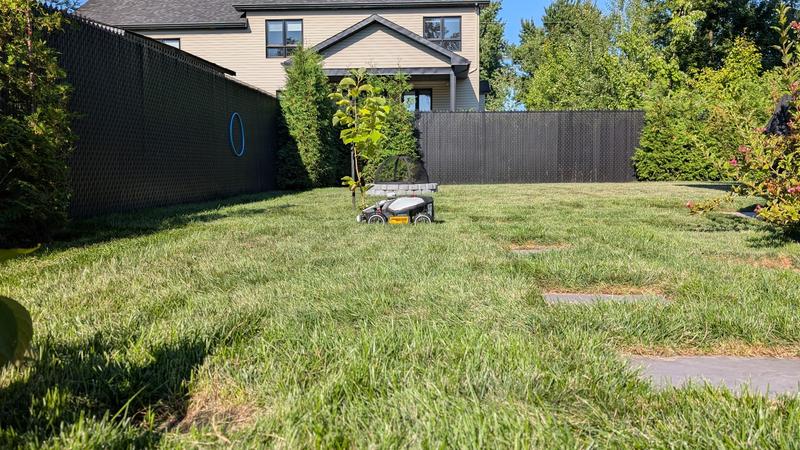 Photo - commentaire&nbsp;8.