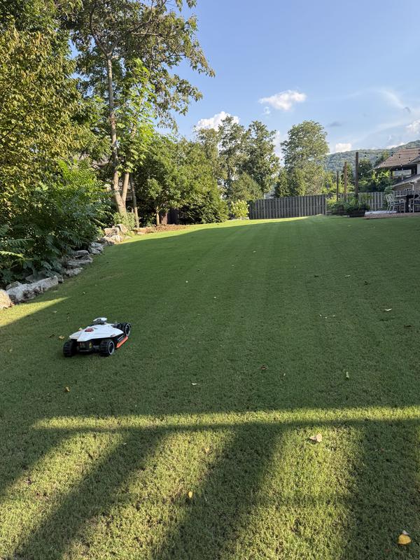 Photo - commentaire 8.