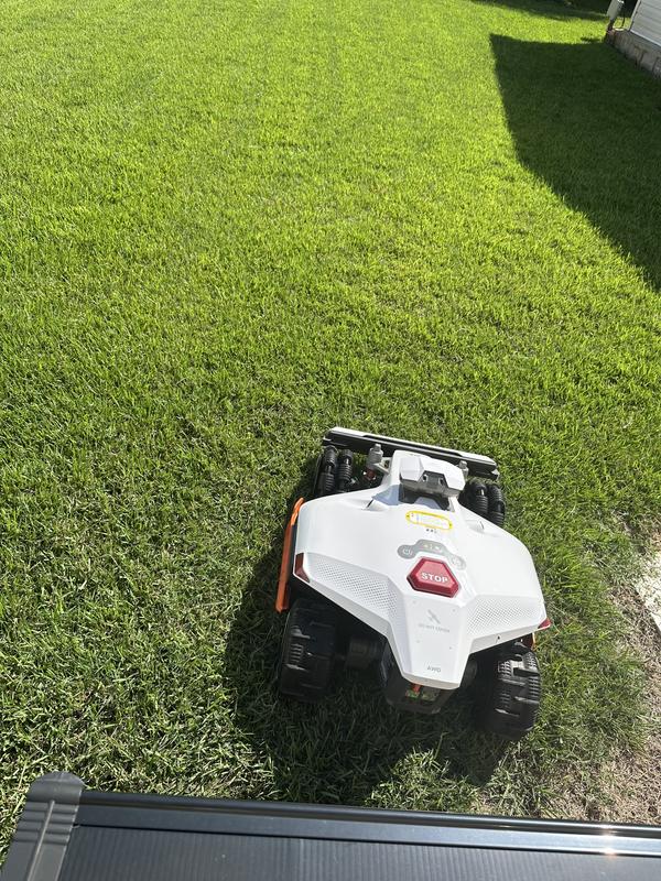 Photo - commentaire 6.