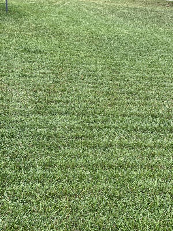 Photo - commentaire 4.