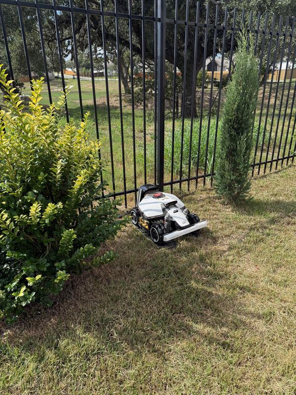 Photo - commentaire&nbsp;5.