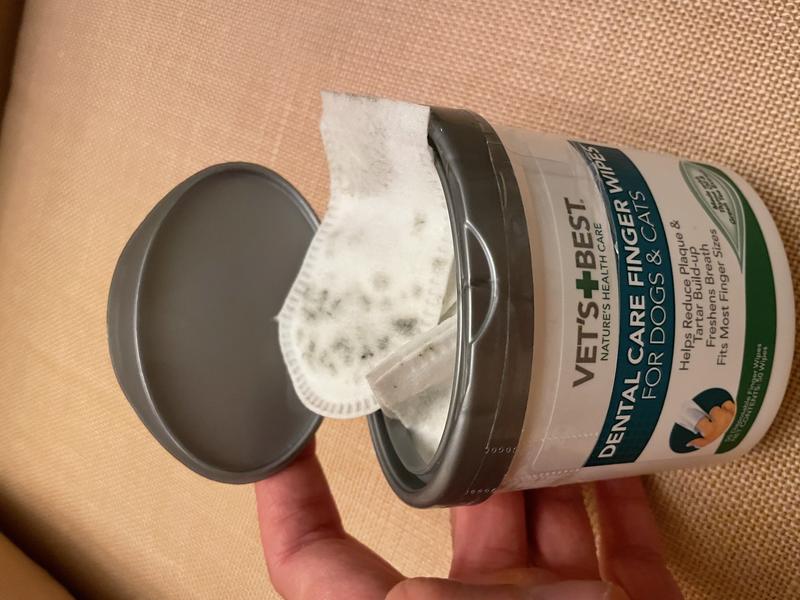 Black growth after a couple weeks