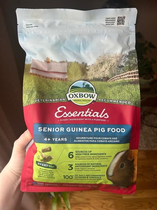 Guinea pig essentials best sale