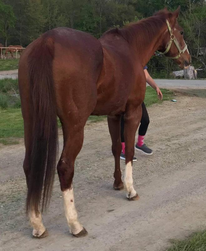 Emma.   26 yrs old