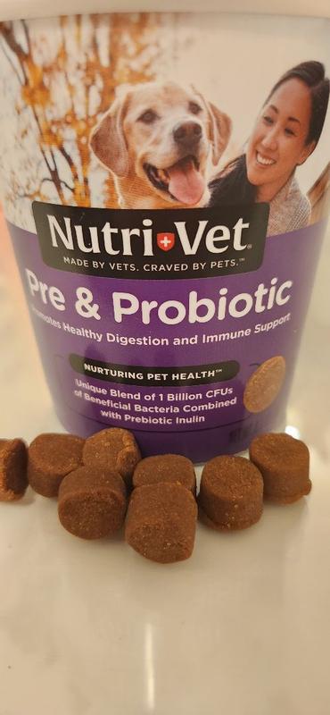 Nutri vet best sale pre and probiotics