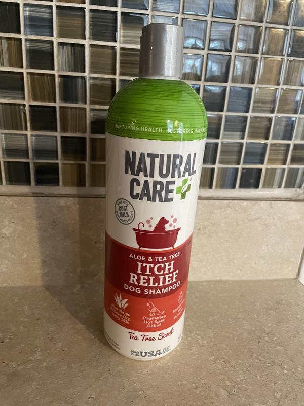 Natural care allergy shop itch relief shampoo