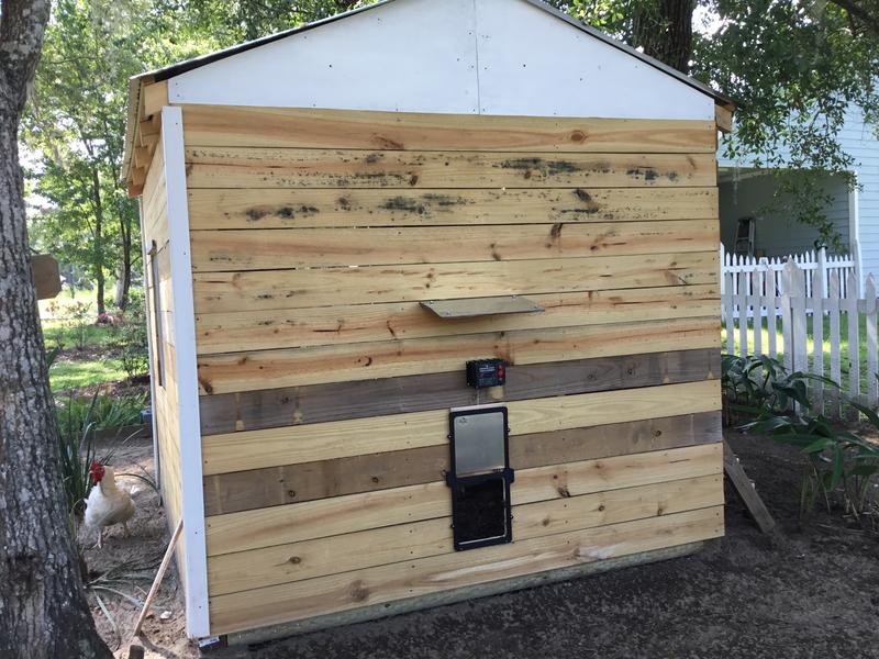 Automatic Coop Door, Chicken Coop Supplies, Poultry