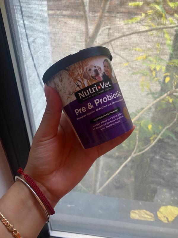 Nutri vet pre and probiotics hot sale