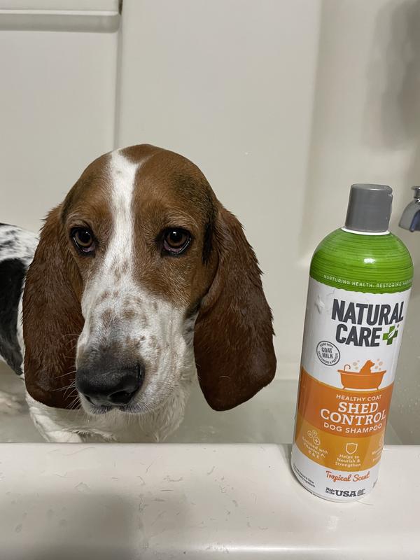 Dog Shed Control Shampoo Natural Care