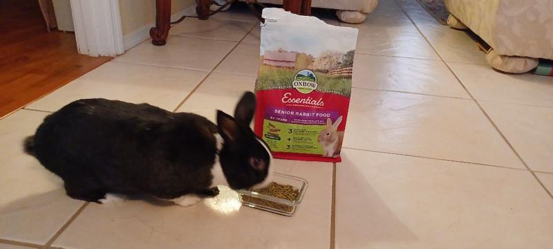 Oxbow Adult Rabbit Food Kg2,27 Pellet A Base Di Fieno Di Fleolo Essentials  - Alterfarma