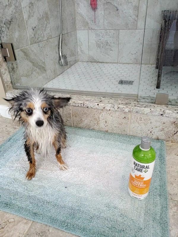 Low best sale shed shampoo