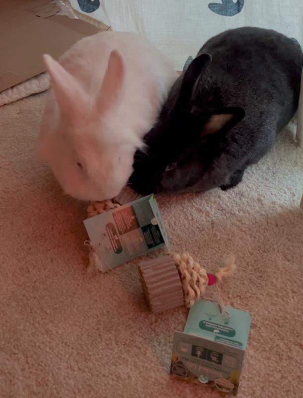 They love to share