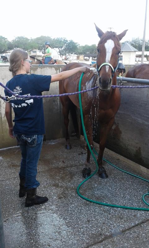 Always promoting MannaPro. This is at 4H Area 04/17 which they won highpoint overall ❤