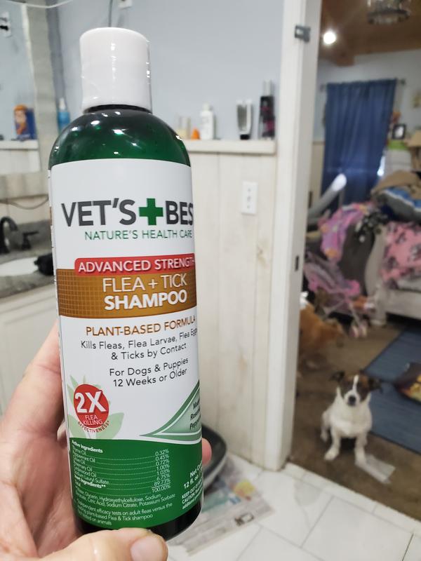 Vet s Best Advanced Strength Flea Tick Dog Shampoo 12 fl. oz