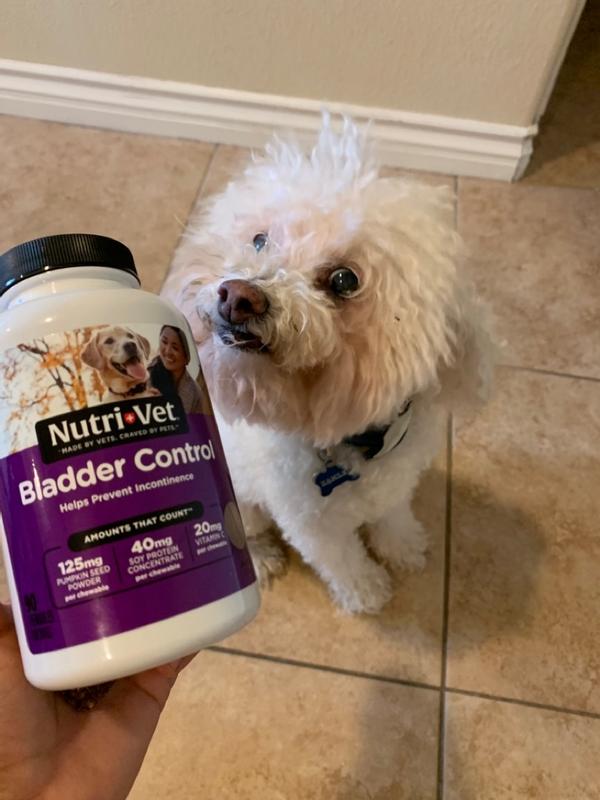 Bladder Control Chewable Tablets Dog Digestive Health Nutri Vet