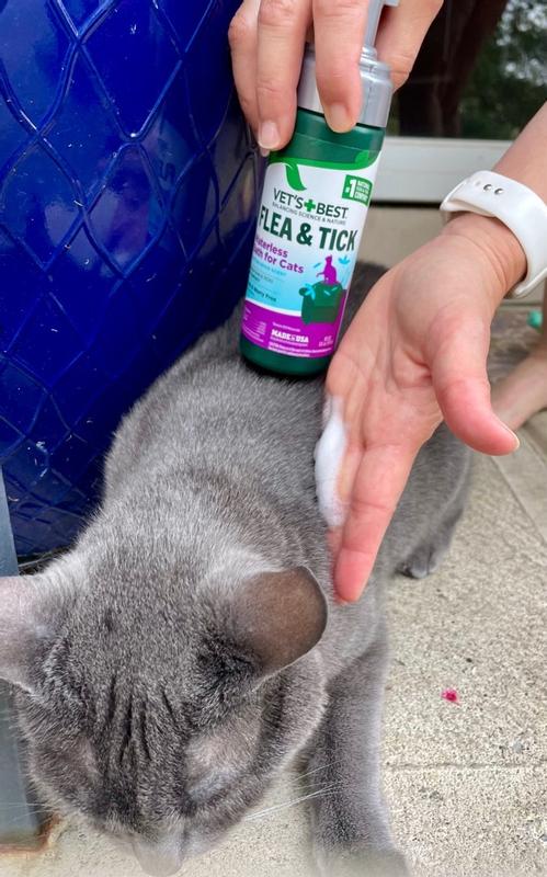Dry flea bath for cats best sale