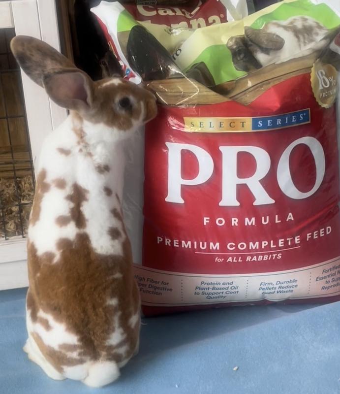 Manna pro store show rabbit feed