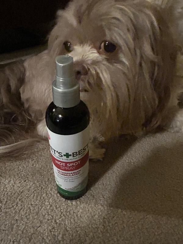 Best spray for dog hot spots best sale